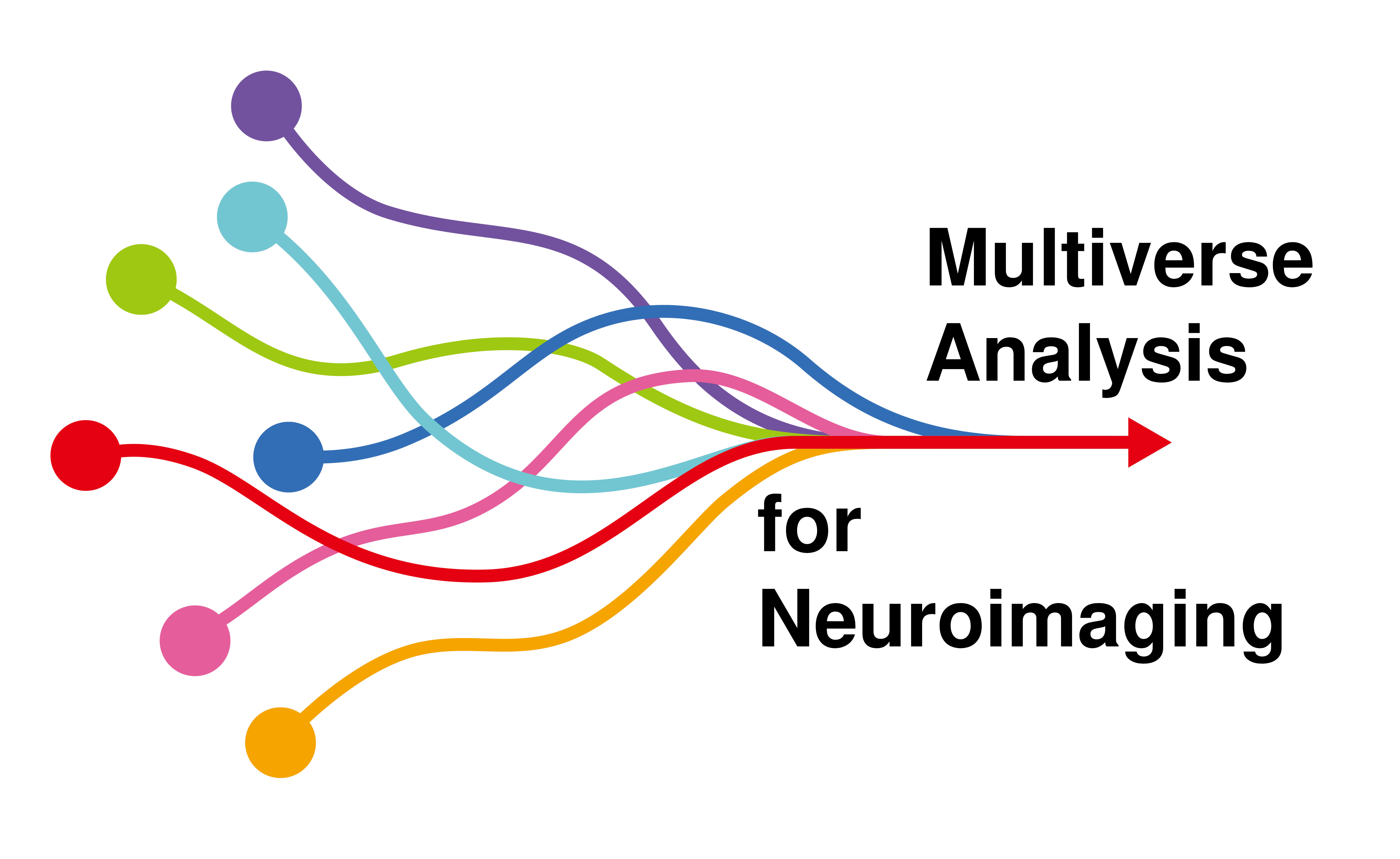 Multiverse Analysis for Neuroimaging - Home